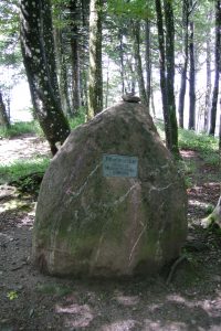 Stein auf dem Bürglenstutz