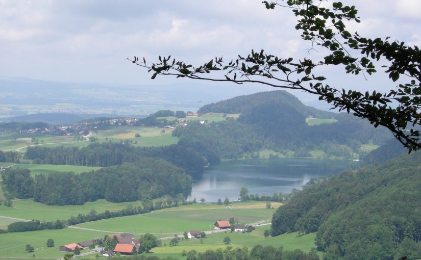 Türlersee