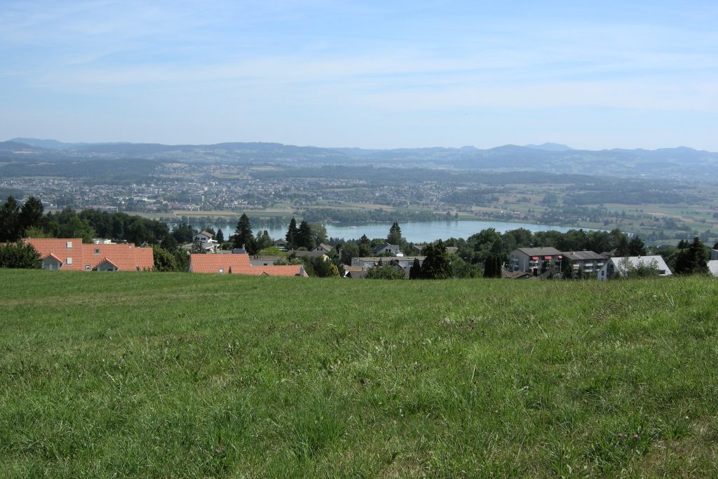 Forch Richtung Greifensee