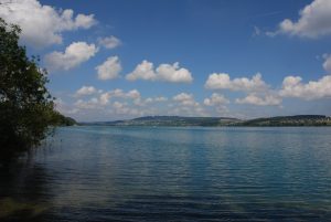 Hallwilersee Richtung Seengen