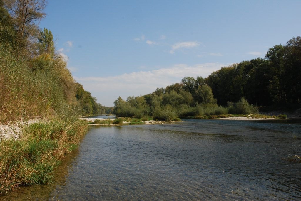 Alte Aare Winznau