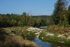 Alte Aare beim KKW