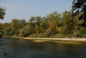 Aare bei Aarau