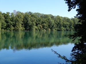 Limmat bei Neuenhof