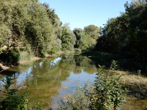 Naturschutzgebiet Geroldswil