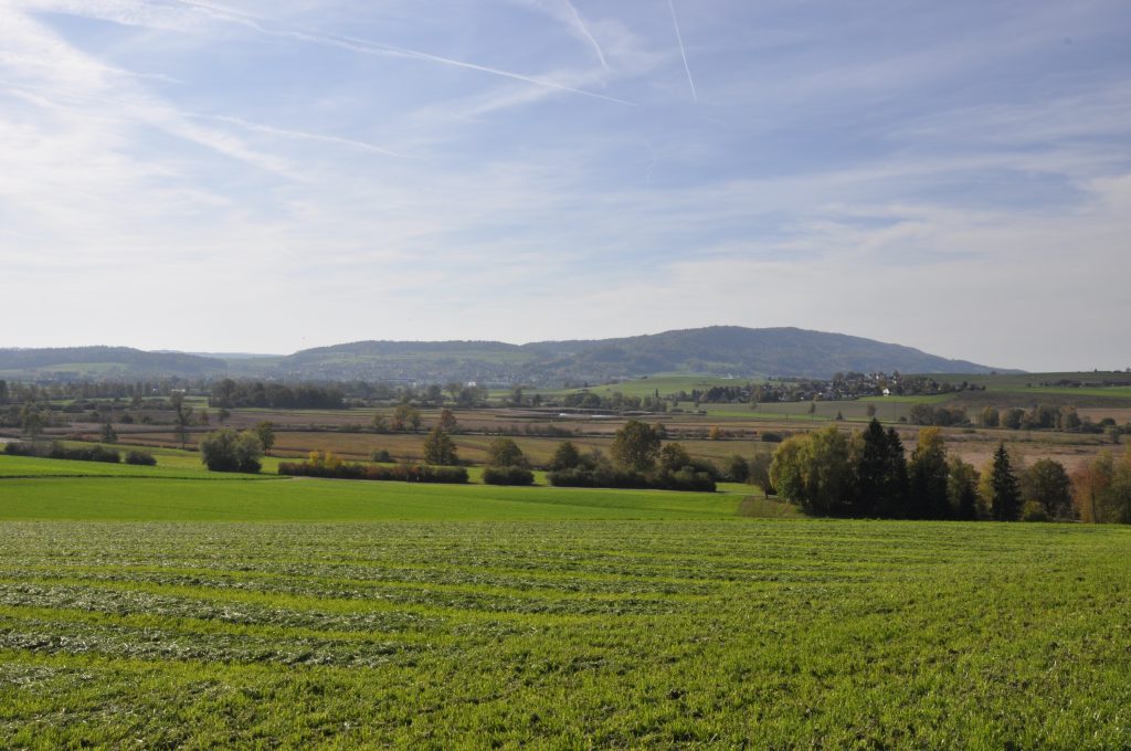 Neeracherried und Lägern