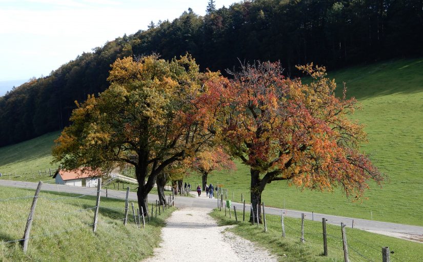 Die Wanderung zum Pass