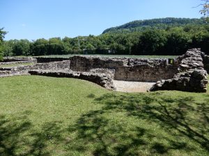 Ruine Freudenau