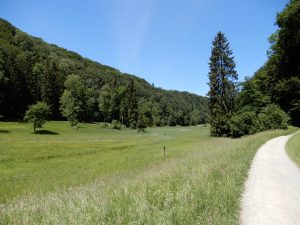 Moorlandschaft am Egelsee