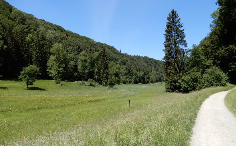 Wanderung auf dem Heitersberg