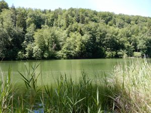 Am Egelsee