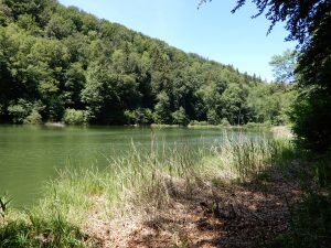 Am Egelsee