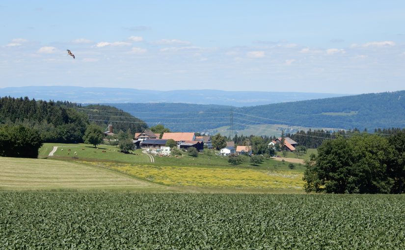 Der Weiler Heitersberg