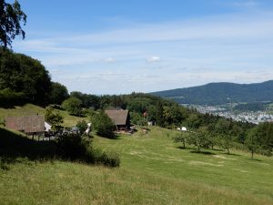 Blick auf den Rüsler