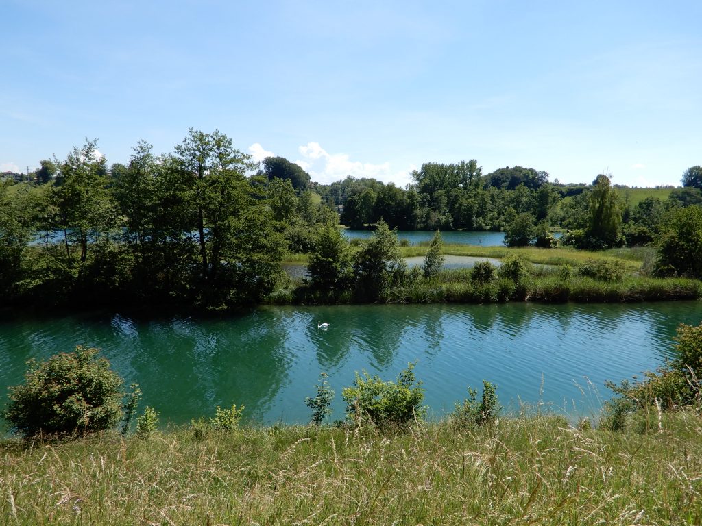 Naturschutzgebiet Vogelraupfi