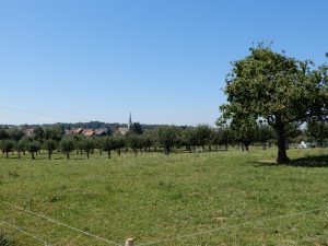 Blick auf Langrickenbach