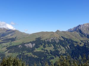 Ausblick zum Metschberg