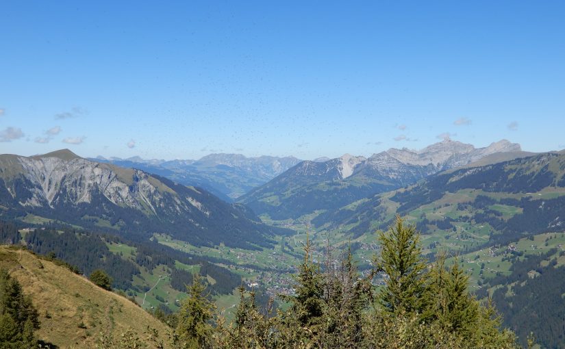 Ausblick ins Simmental