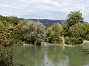 Aare beim Möösli