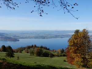 Ausblick auf den Zugersee