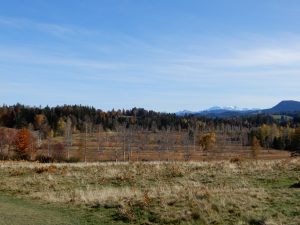 Hochmoor beim Ewegstafel