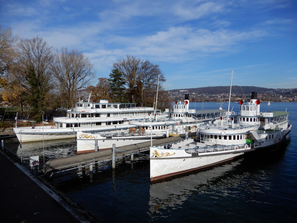 Schiffparade in Wollishofen