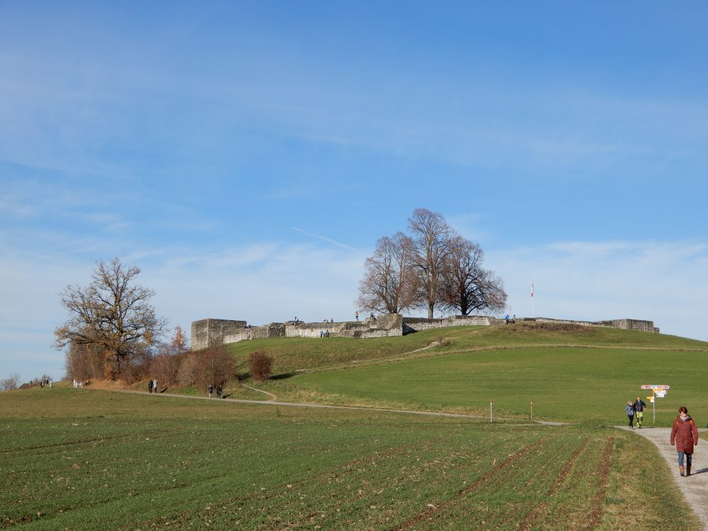 Kastell Irgenhausen