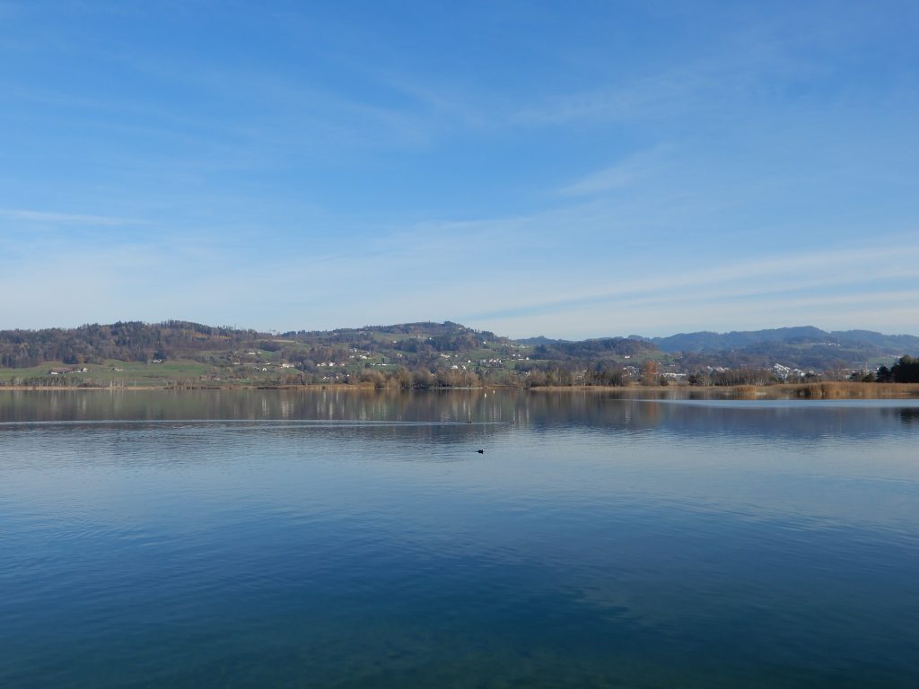 Pfäffikersee