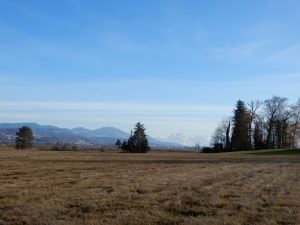 Panorama von der Holzweid