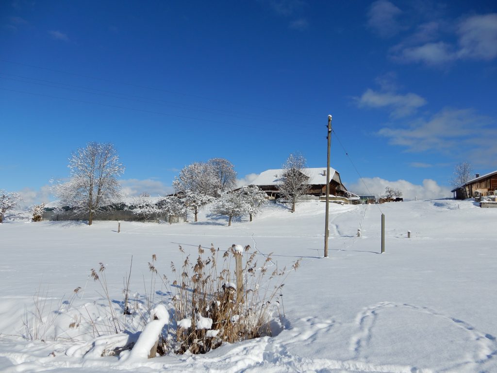 Winterstimmung in Aeschi