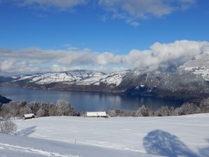 Thunersee und verschneite Berge