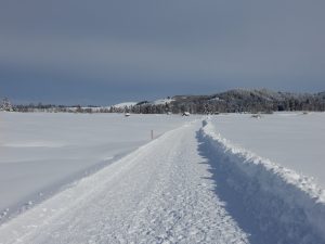 Allmig mit Blick Richtung Etzel