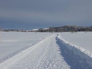 Allmig mit Blick Richtung Etzel