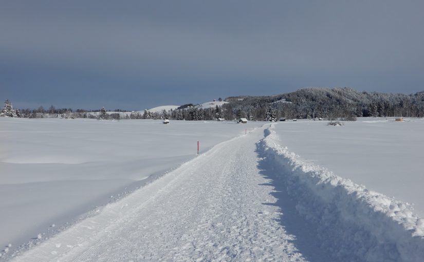 Allmig mit Blick Richtung Etzel