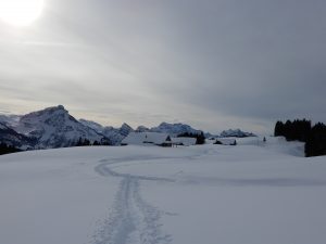 Arvenbüel - Altschen - Arvenbüel Die Alp Altschen