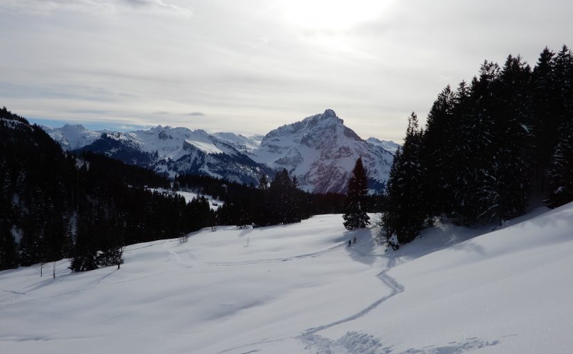 Auch die ersten Schneeschuh-Wanderungen sind nun da