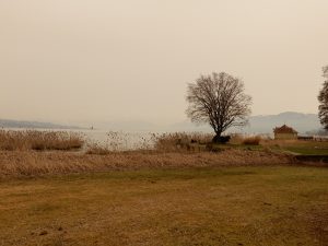 Stimmung am Zürichsee