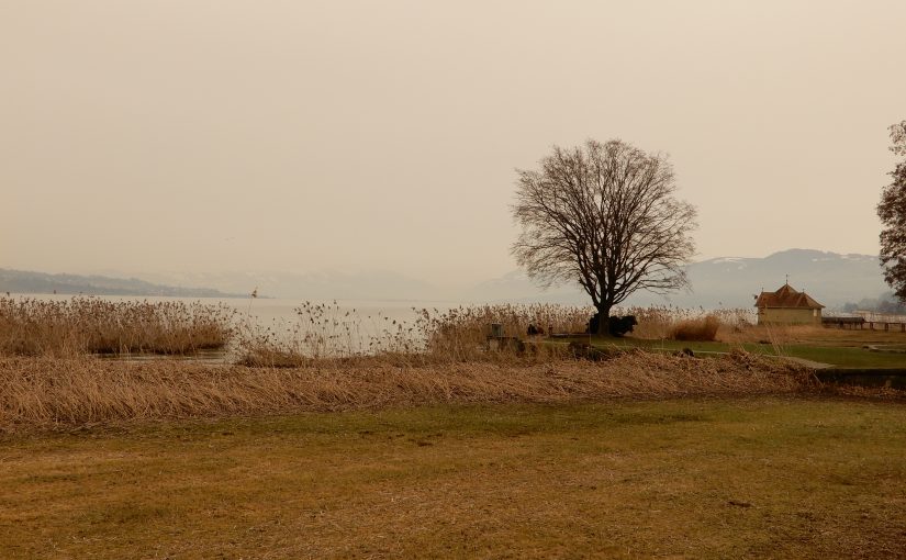 Stimmung am Zürichsee