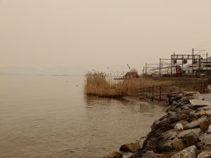 Seeuferweg vor Richterswil