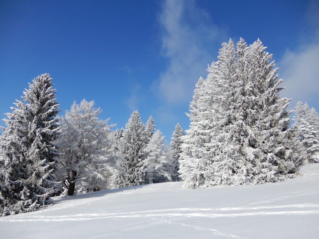 Winterwunderland