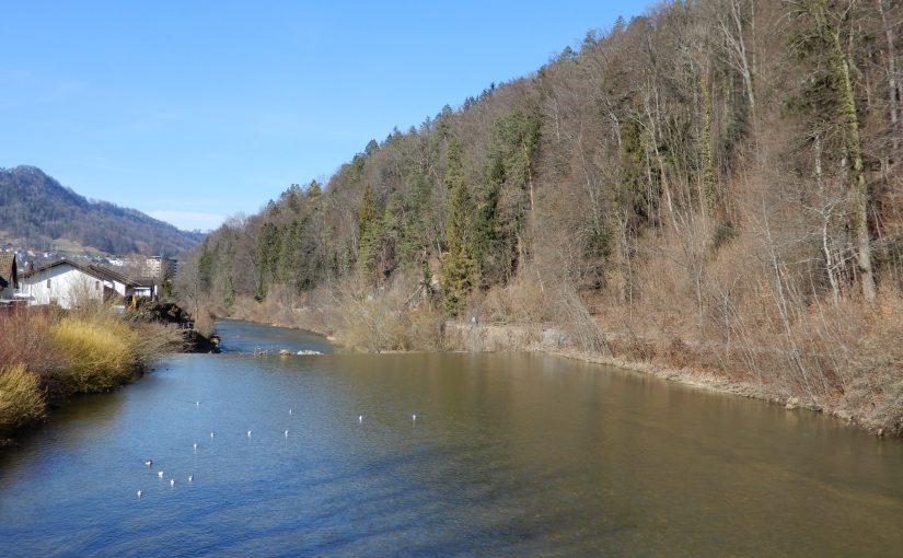 Schon wieder im Frühling gewandert