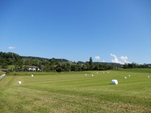 Sennhof oberhalb Erlenbach