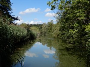 Am Schübelweiher