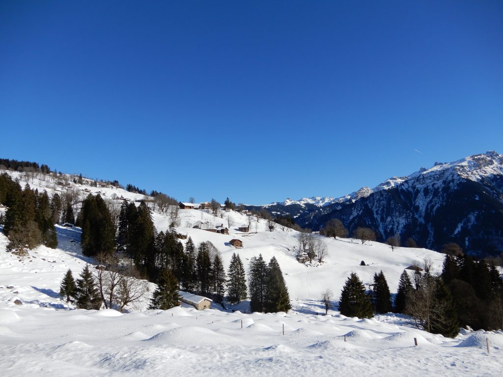 Blick auf Braunwald