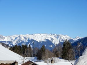 Aussicht vom Nussbüel