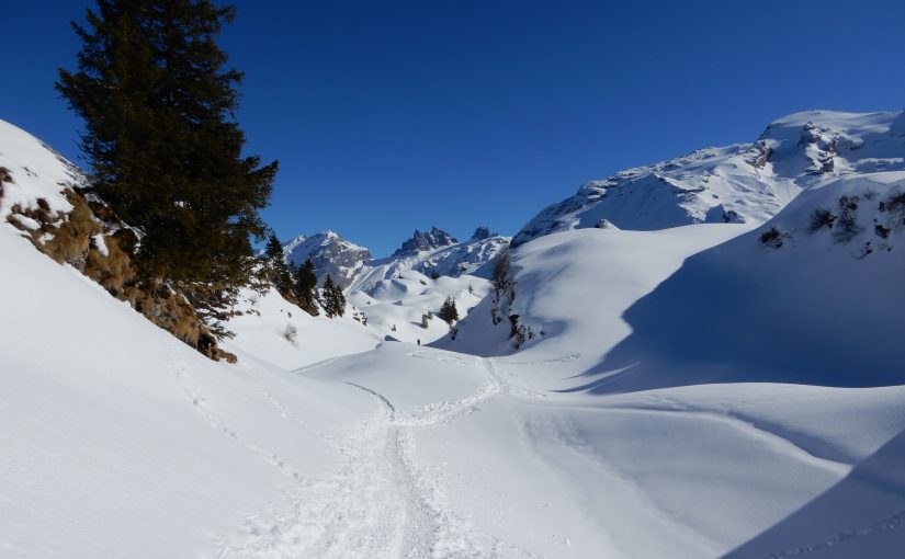 Die erste Schneeschuhtour der Saison