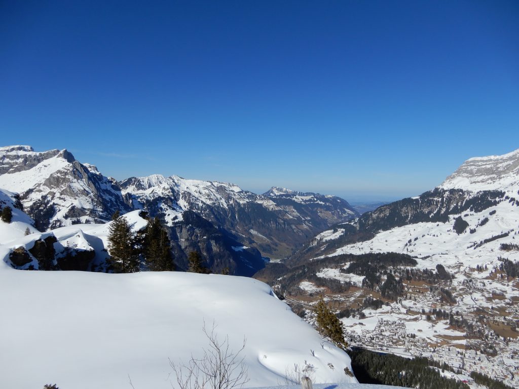 Panorama vom Bitzistock