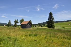 Mitten im Moorgebiet