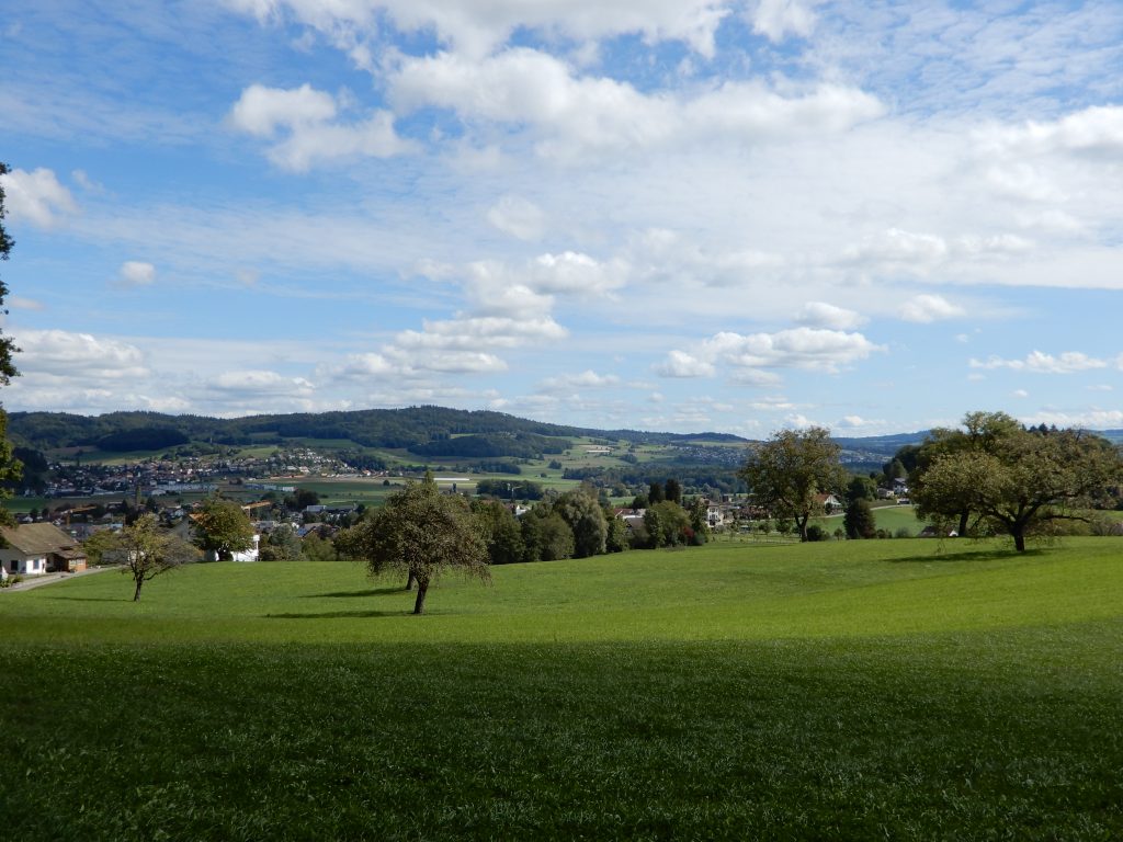 Ausblick ins Seetal