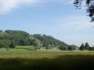 Blick auf das Schloss Brunegg